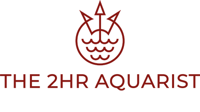 the 2hr aquarist
