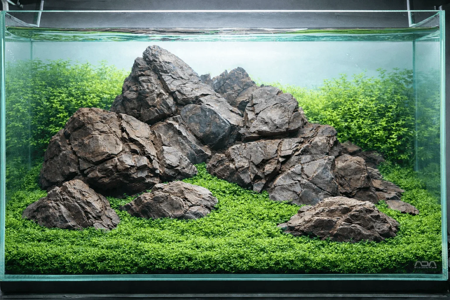 Aquarium photo