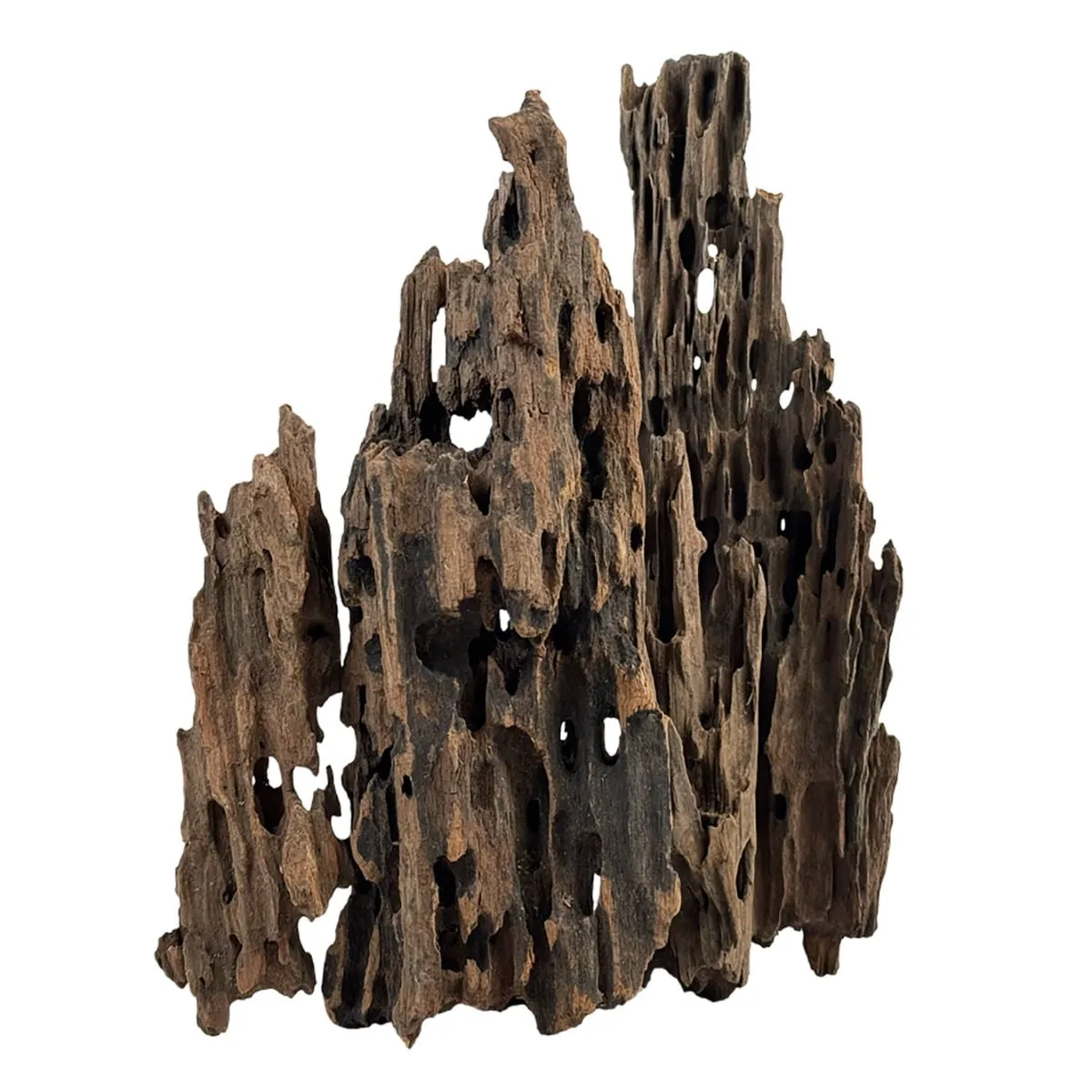 Wio Dragonscale Wood