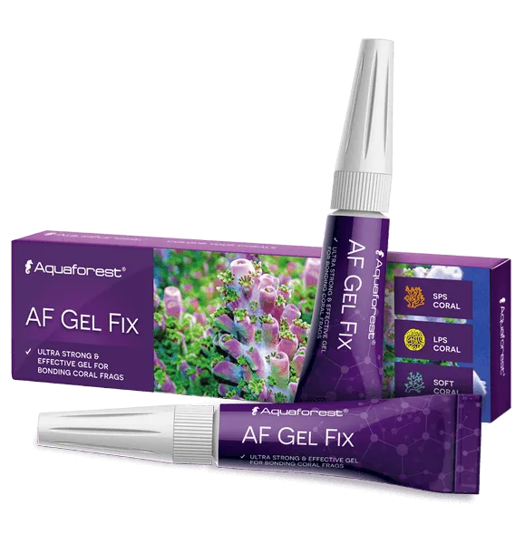 AF Gel Fix