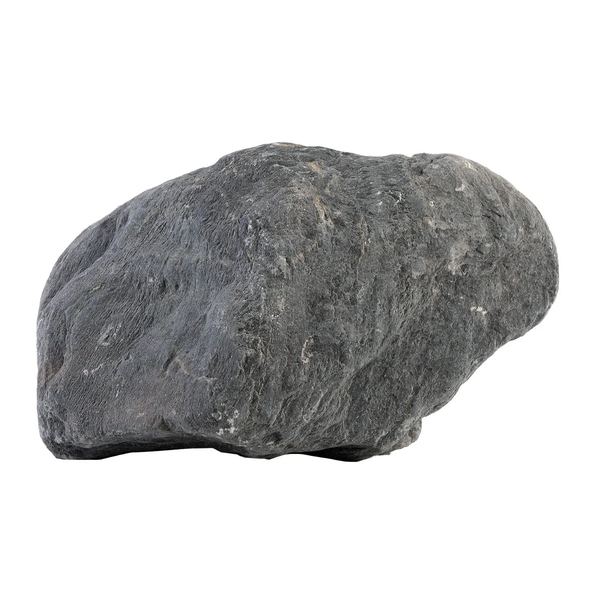 Wild Rhino Stone