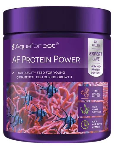 AF Protein Power