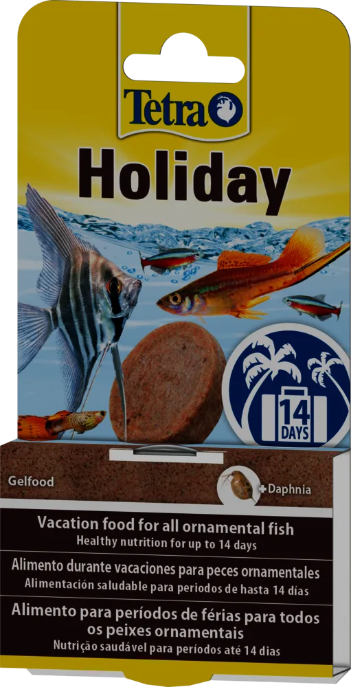 Tetra Holiday