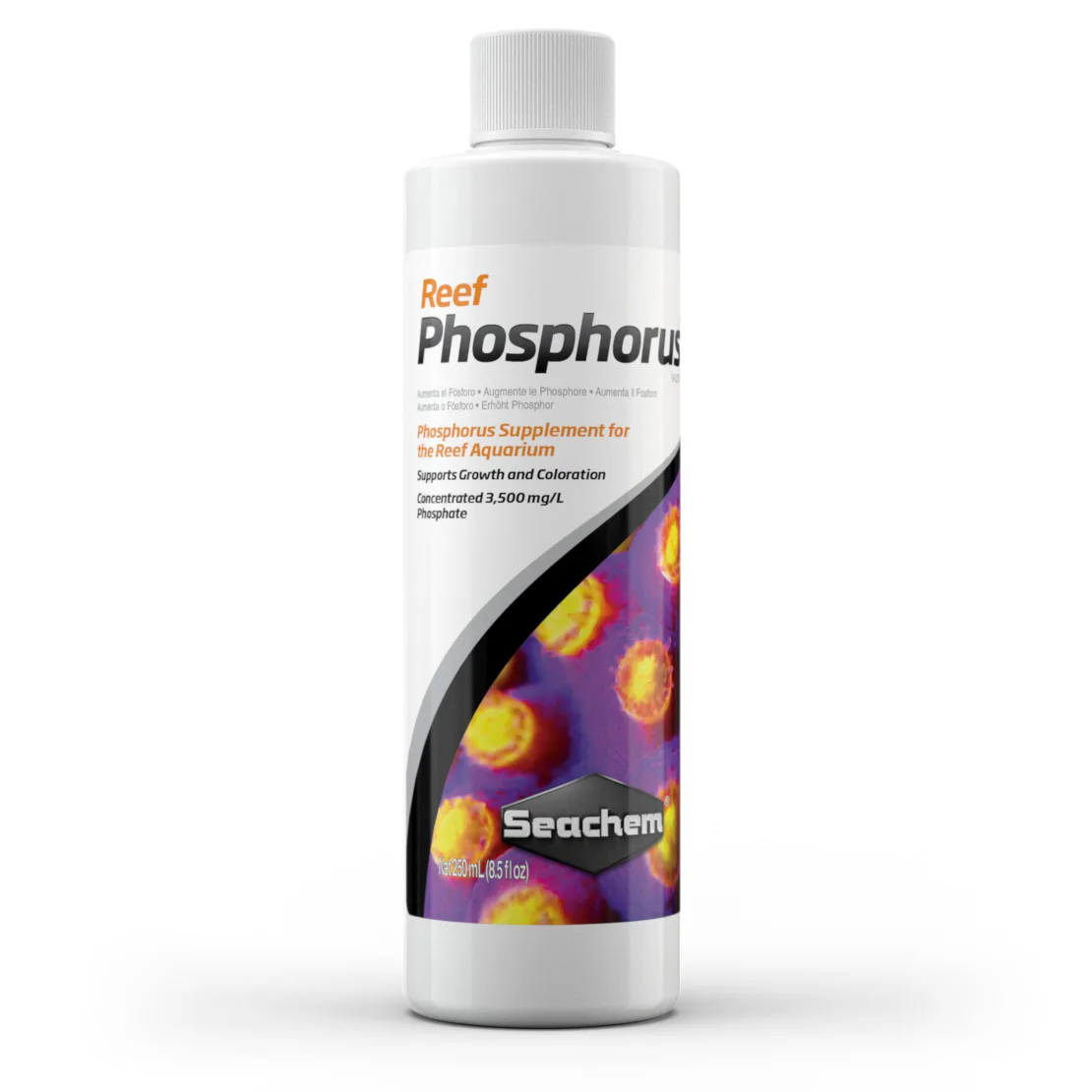Reef Phosphorus