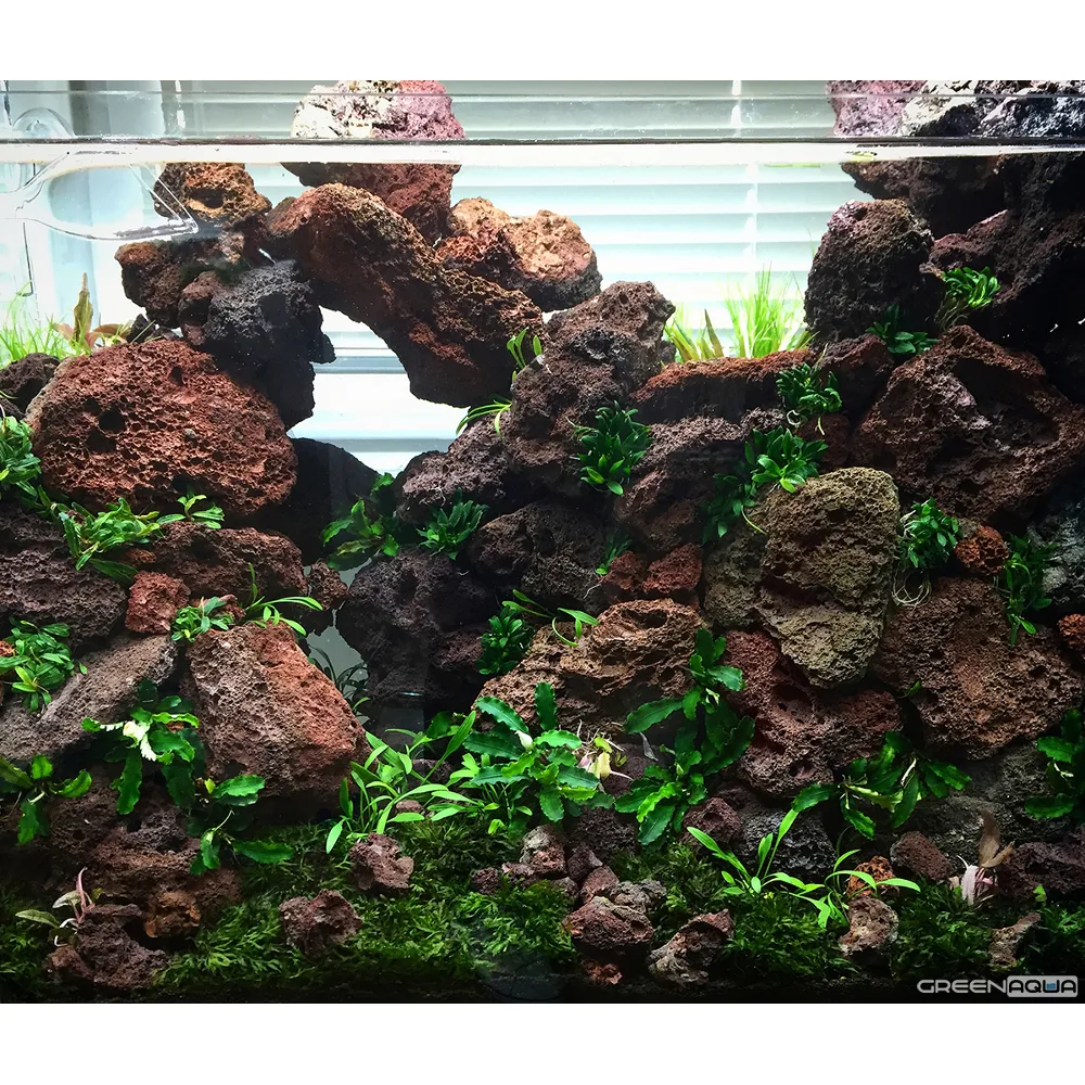 Lava Stone (Fuji Lava Stone)