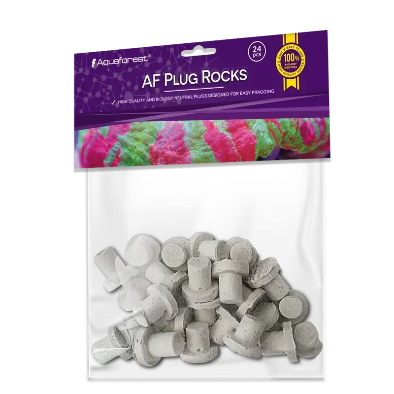 AF Plug Rocks