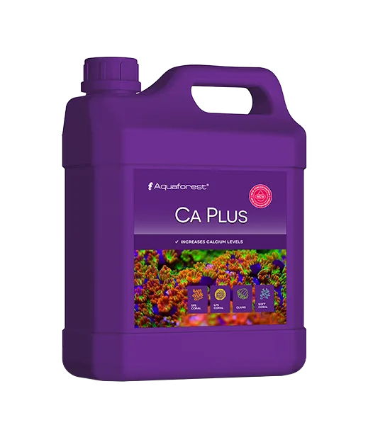 Ca Plus