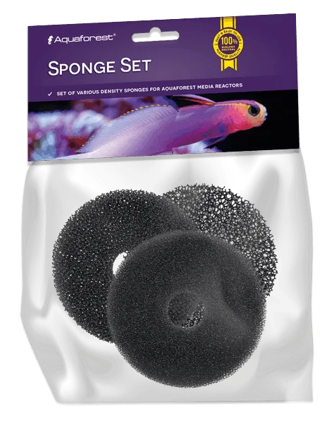 Seawater Sponge Set