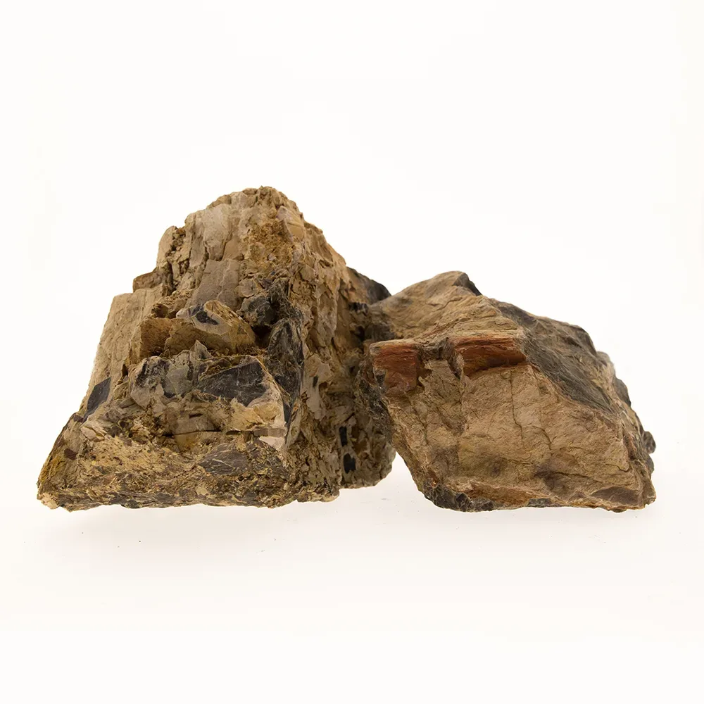 Petrified Wood Stone