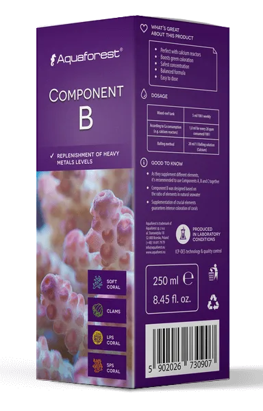 Component B