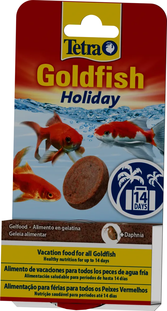 Tetra Goldfish Holiday