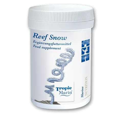 Reef Snow