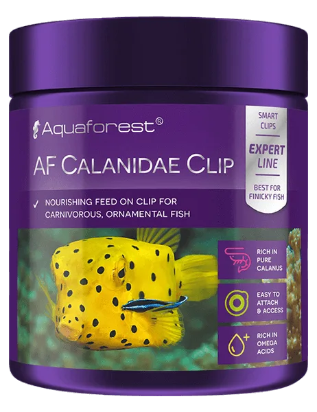 AF Calanidae Clip