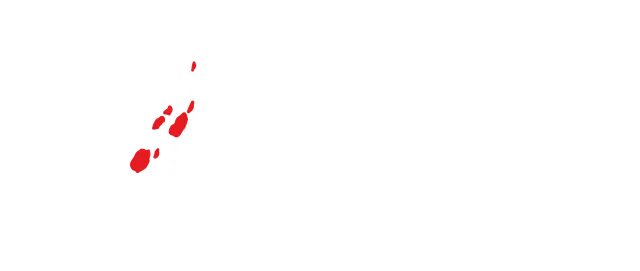 Fundo do Mar Aquários